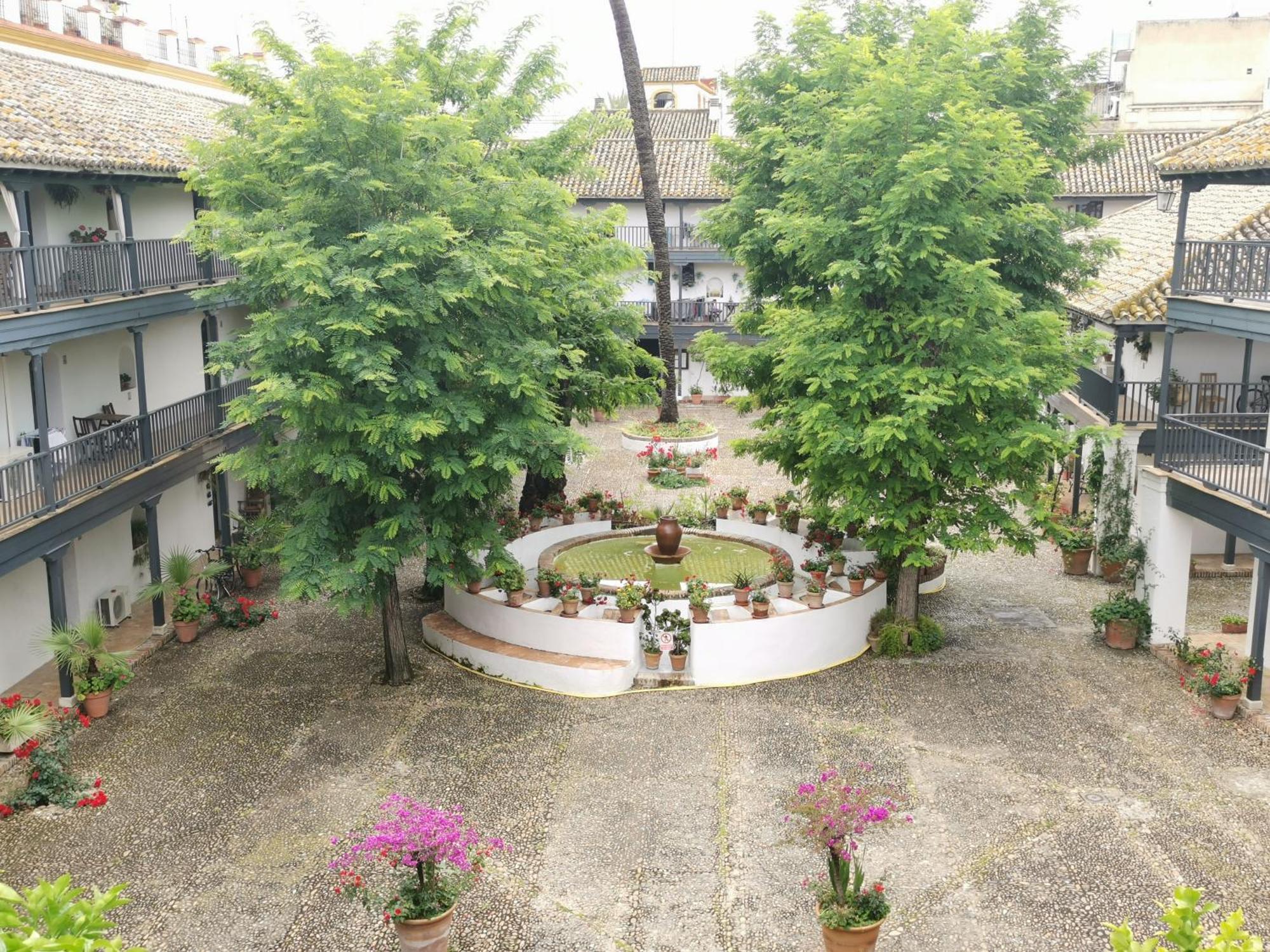 安达卢西亚庭院公寓 塞维利亚 外观 照片